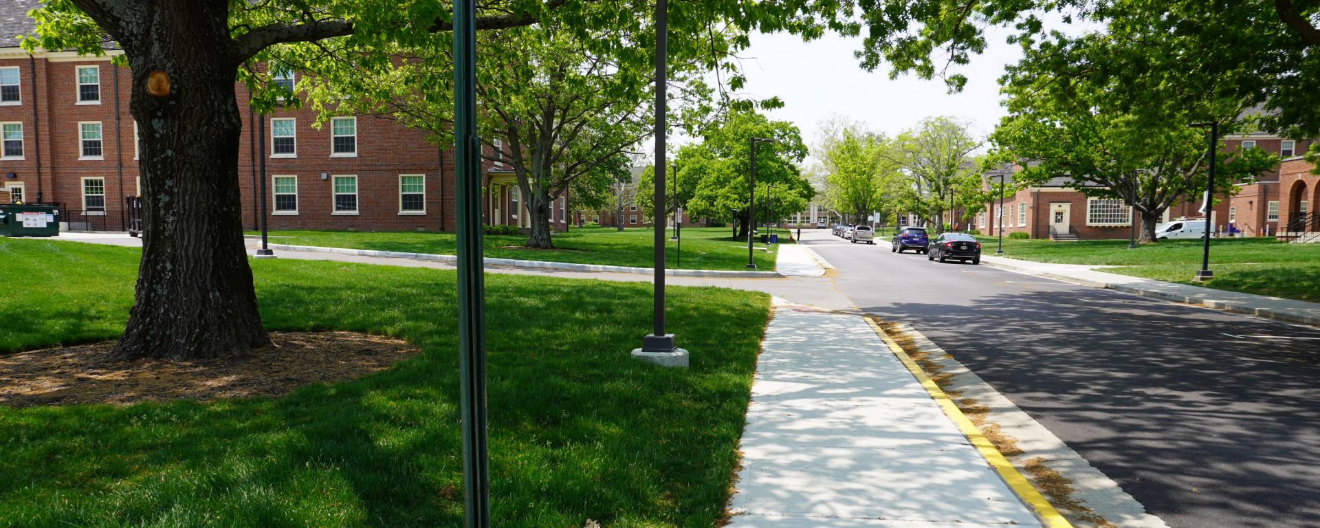 new street with sidewalk and trees