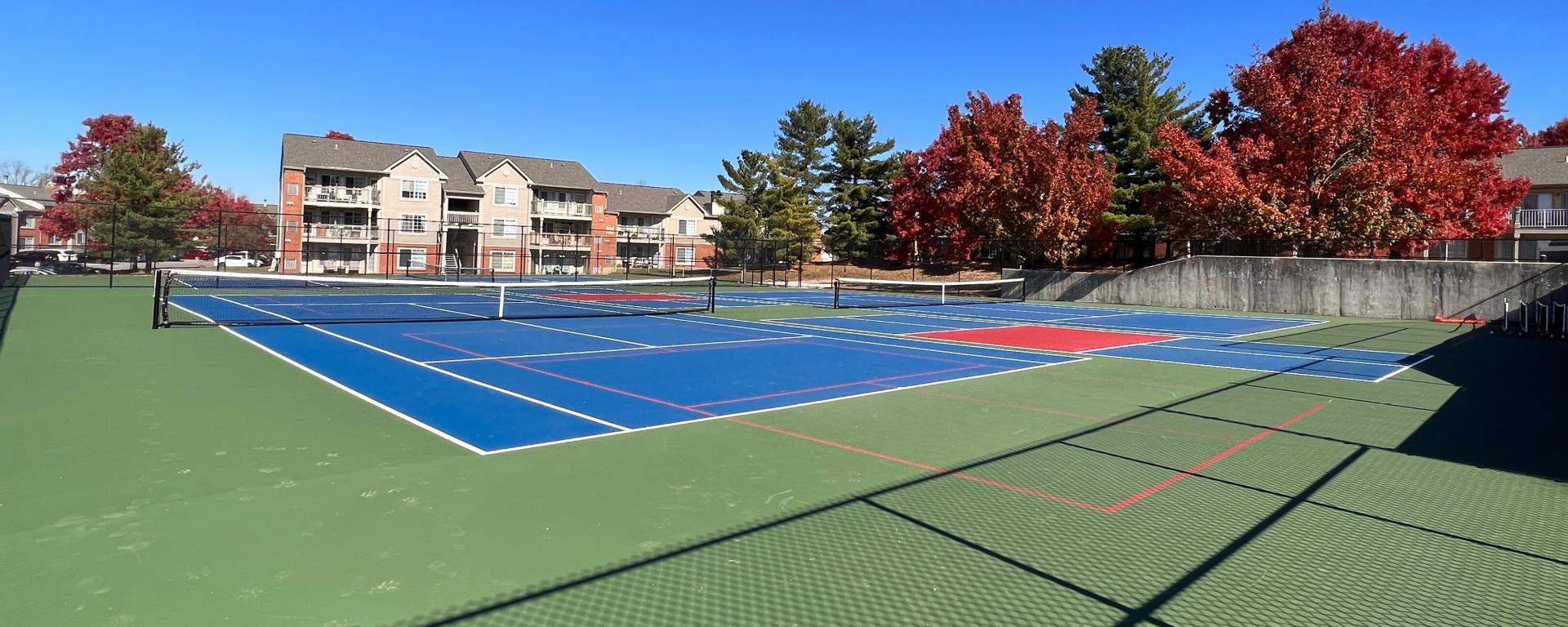 new blue tennis courts with trees
