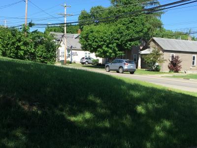 residential street with green grass