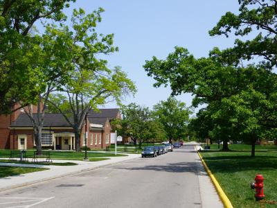 new street surrounded by trees