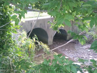 large storm sewer pipes in the woods