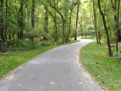 winding recreation trail in the woods
